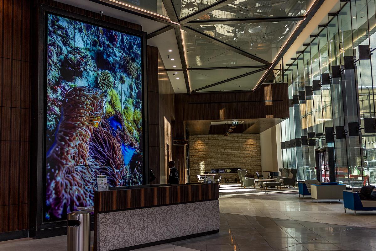 Artistic video wall display in a building lobby
