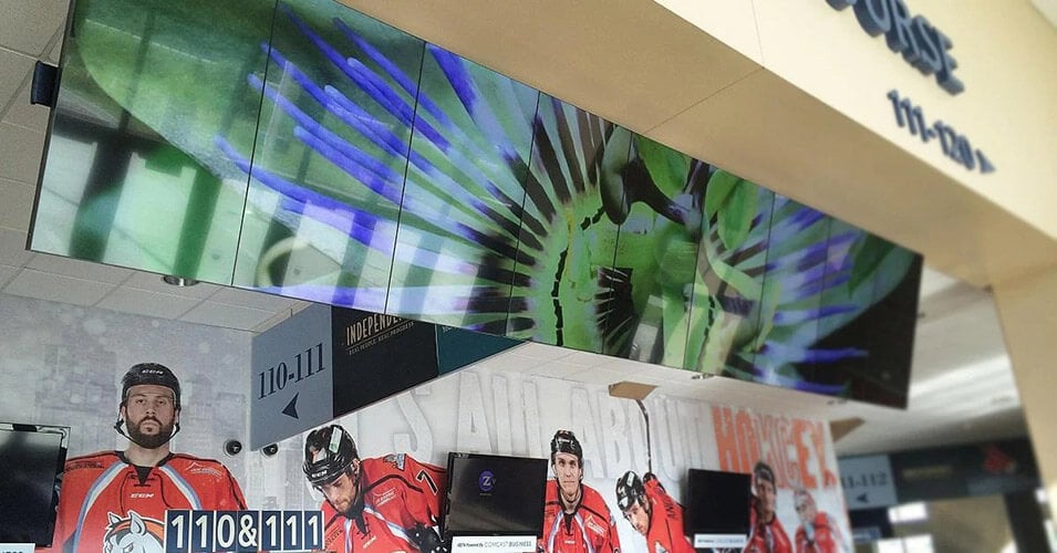 جدار فيديو معلق في ساحة سيلفرشتاين يعرض صورة لزهرة ، مع لاعبي الهوكي المعروضين على جدار خلفها